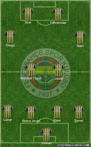 Fenerbahçe SK Formation 2015