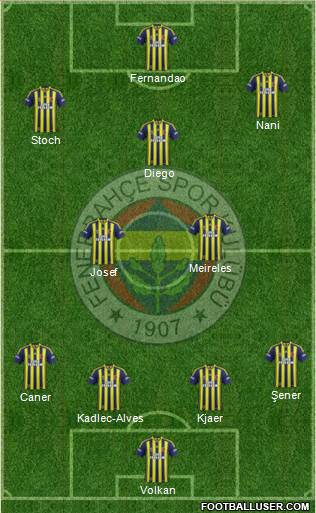 Fenerbahçe SK Formation 2015