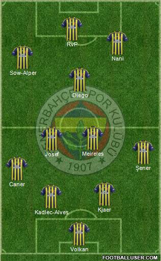 Fenerbahçe SK Formation 2015