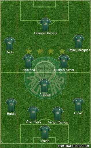 SE Palmeiras Formation 2015