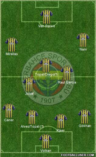 Fenerbahçe SK Formation 2015