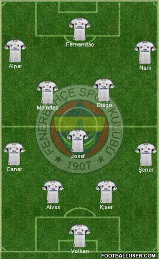 Fenerbahçe SK Formation 2015