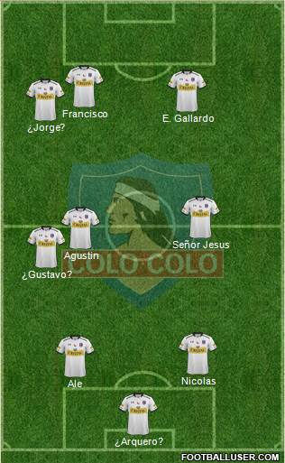 CSD Colo Colo Formation 2015