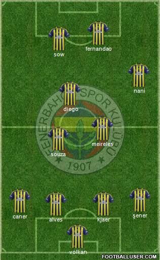Fenerbahçe SK Formation 2015