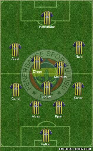 Fenerbahçe SK Formation 2015
