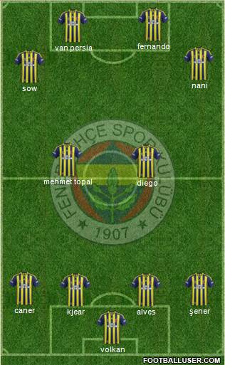Fenerbahçe SK Formation 2015