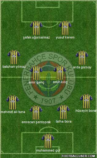 Fenerbahçe SK Formation 2015