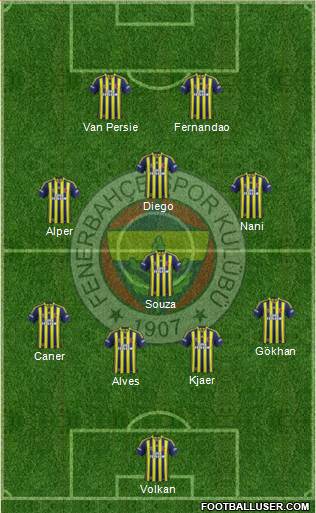 Fenerbahçe SK Formation 2015