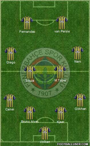 Fenerbahçe SK Formation 2015