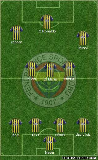 Fenerbahçe SK Formation 2015