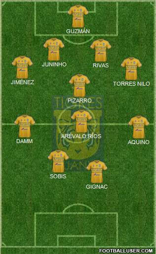Club Universitario de Nuevo León Formation 2015