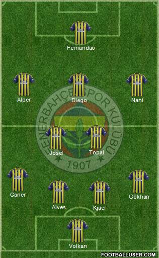 Fenerbahçe SK Formation 2015