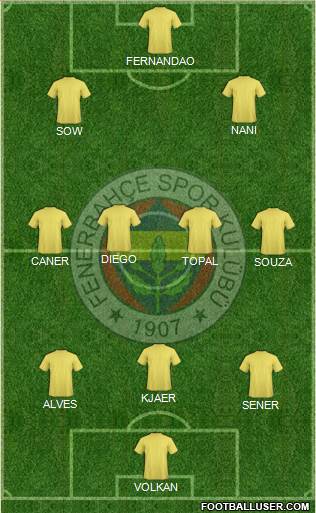 Fenerbahçe SK Formation 2015