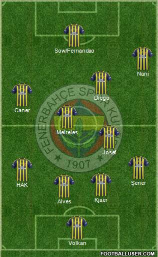 Fenerbahçe SK Formation 2015