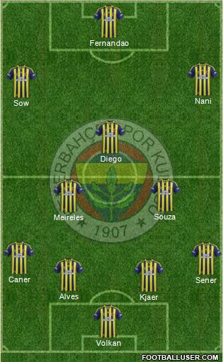 Fenerbahçe SK Formation 2015