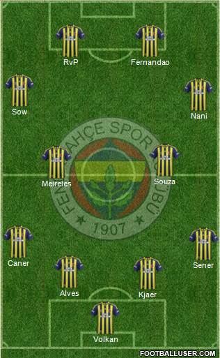 Fenerbahçe SK Formation 2015