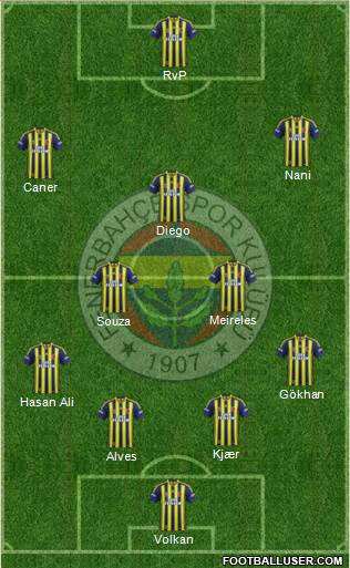 Fenerbahçe SK Formation 2015