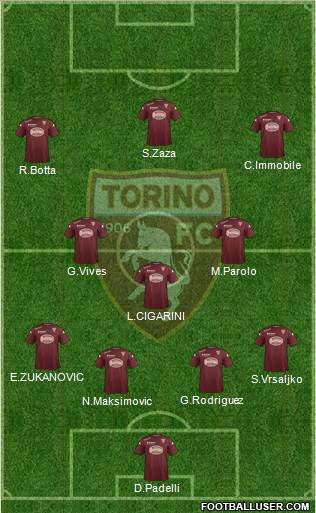 Torino Formation 2015