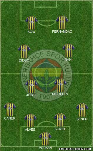Fenerbahçe SK Formation 2015