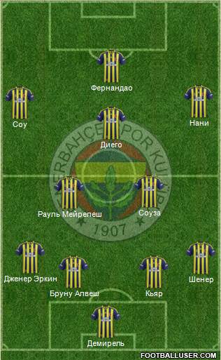 Fenerbahçe SK Formation 2015