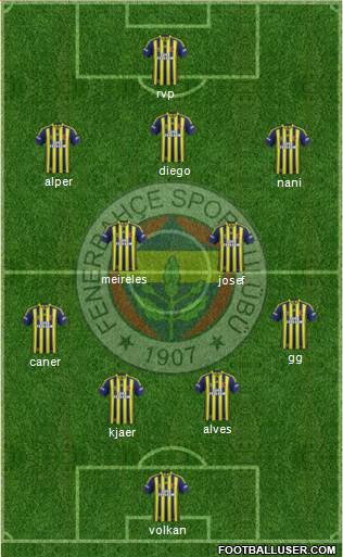 Fenerbahçe SK Formation 2015