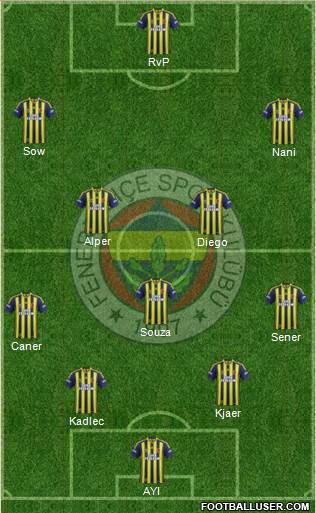 Fenerbahçe SK Formation 2015