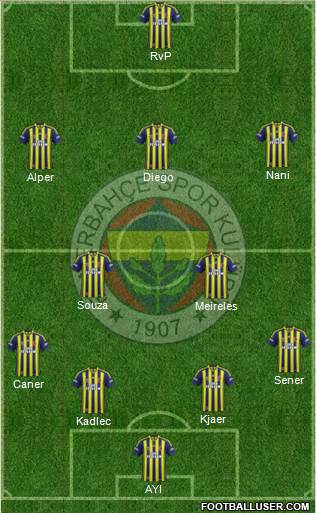 Fenerbahçe SK Formation 2015