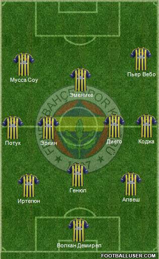 Fenerbahçe SK Formation 2015