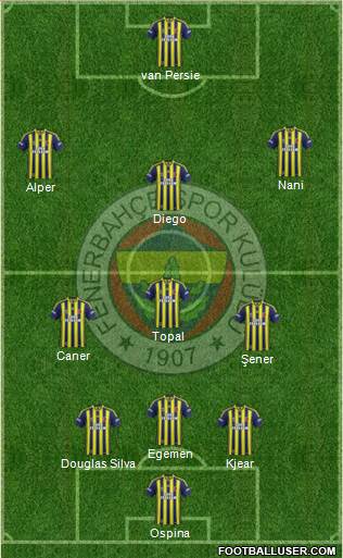Fenerbahçe SK Formation 2015