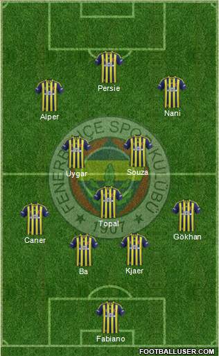 Fenerbahçe SK Formation 2015