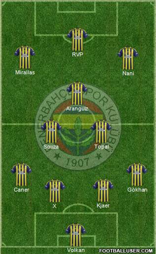 Fenerbahçe SK Formation 2015