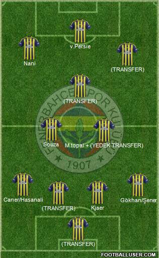 Fenerbahçe SK Formation 2015