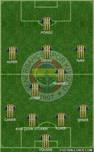 Fenerbahçe SK Formation 2015