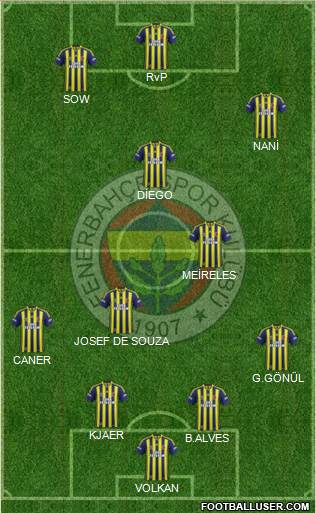Fenerbahçe SK Formation 2015