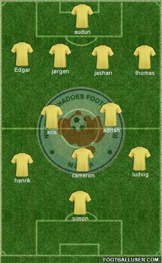 Niger Tornadoes FC Formation 2015