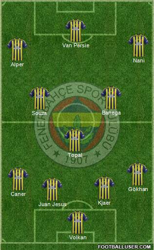 Fenerbahçe SK Formation 2015