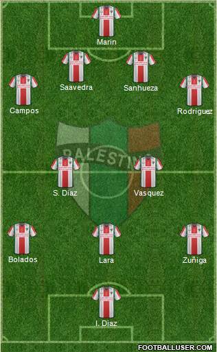 CD Palestino S.A.D.P. Formation 2015