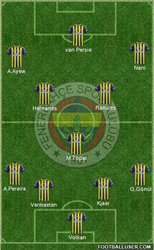Fenerbahçe SK Formation 2015
