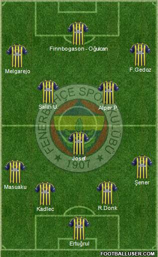 Fenerbahçe SK Formation 2015
