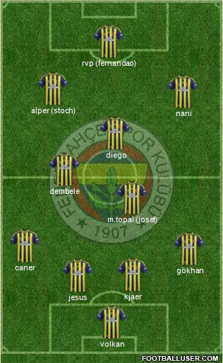 Fenerbahçe SK Formation 2015