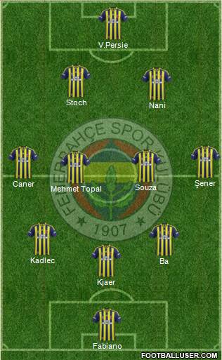 Fenerbahçe SK Formation 2015