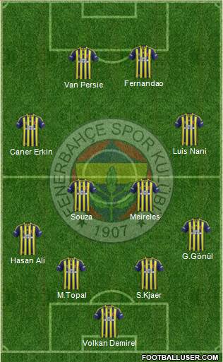Fenerbahçe SK Formation 2015