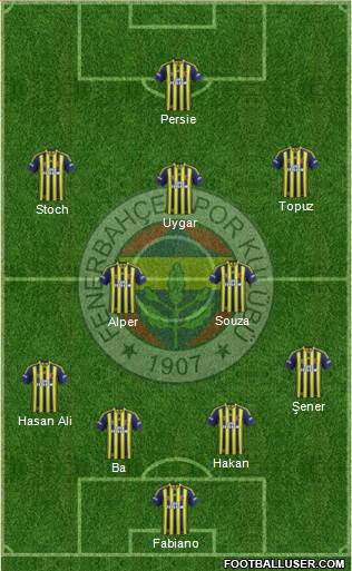 Fenerbahçe SK Formation 2015