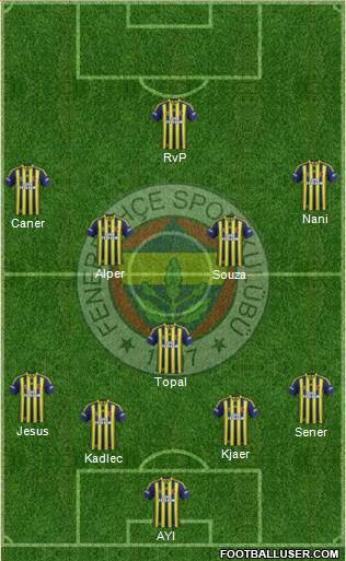 Fenerbahçe SK Formation 2015