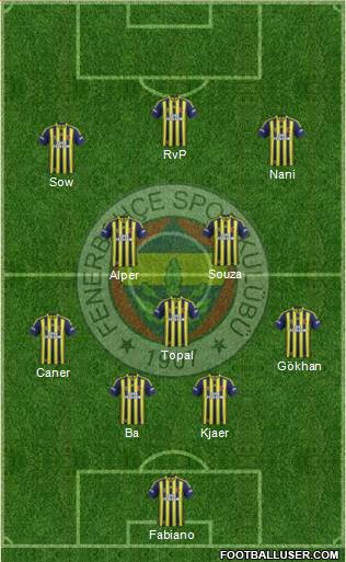 Fenerbahçe SK Formation 2015