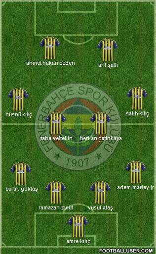 Fenerbahçe SK Formation 2015