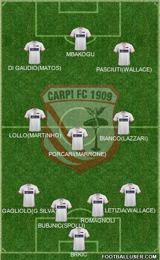 Carpi Formation 2015