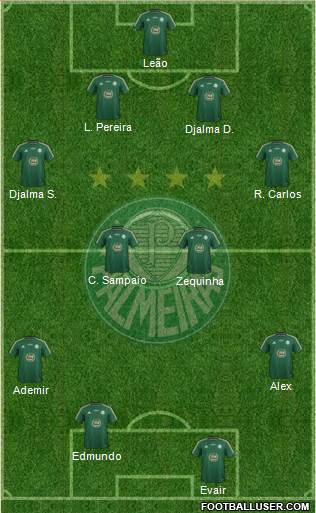 SE Palmeiras Formation 2015