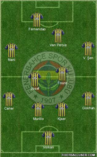 Fenerbahçe SK Formation 2015