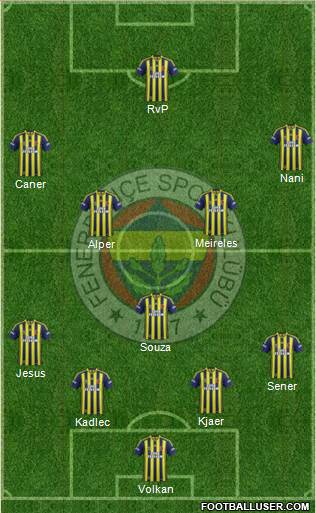 Fenerbahçe SK Formation 2015